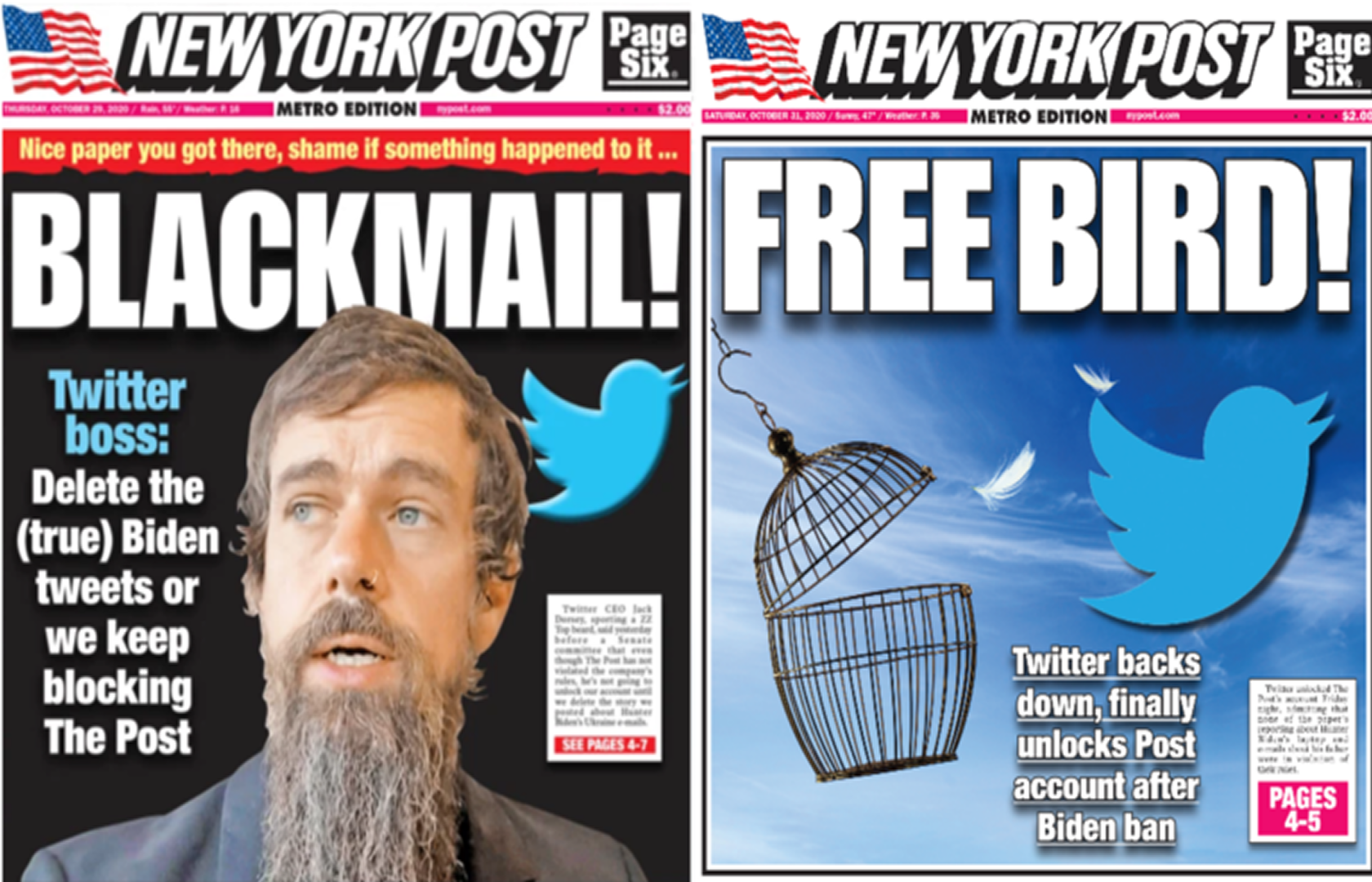 Painful Reminder: The Biggest Election Fraud Was the Mass Media and Big Tech